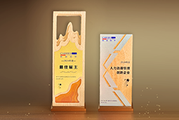 sunbet中文官网国际一举斩获“2024年度中国区最佳雇主”等多项大奖
